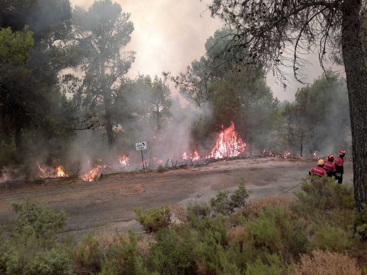 Bombeiros forestais / EP