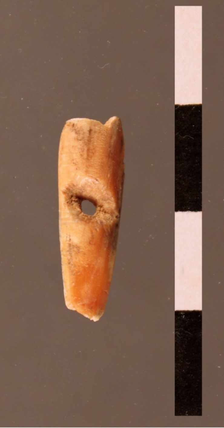 O colgante de 26.000 anos atopados en Eirós 