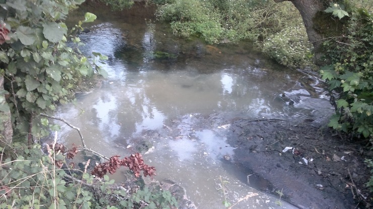 Vertido no río Anllóns que provocou a morte de peixes no 2012