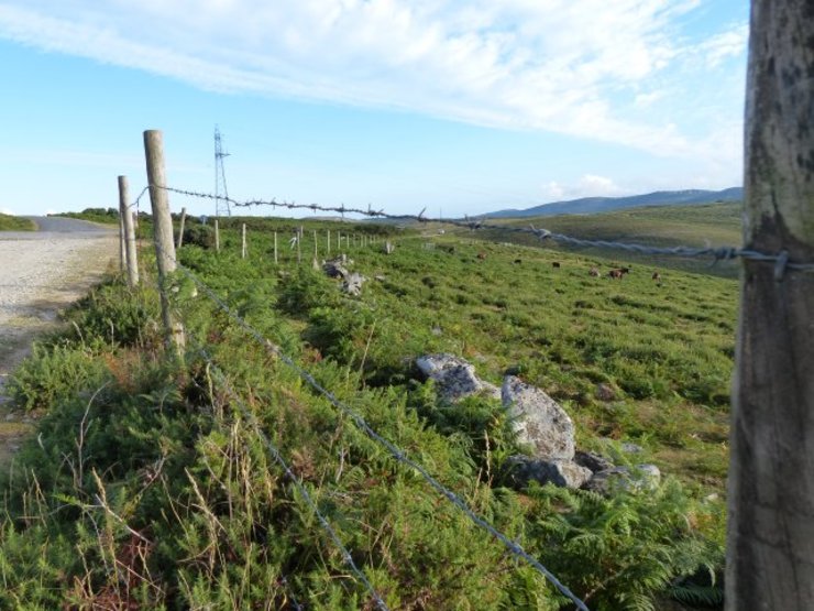 Peche gandeiro na Serra do Barbanza