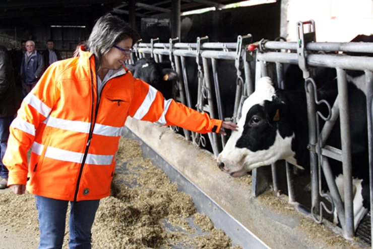 Rosa Quintana visitando unha explotación leiteira cando era conselleira de Medio Rural