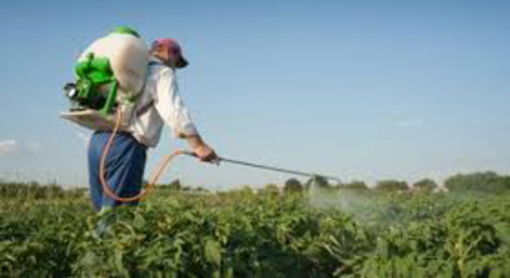 Agricultor aplicando produtos fitosanitarios 