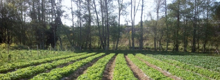 Finca de Fragaira, no catrastro municipal