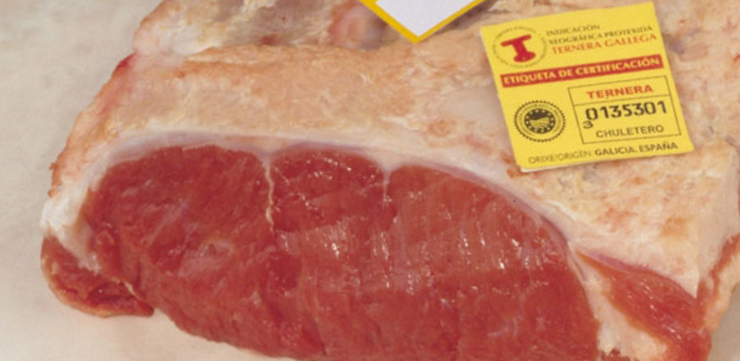 Carne da IXP de Terneira Gallega