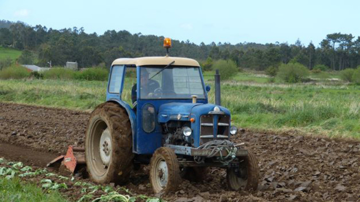 Labrego galego traballando co tractor