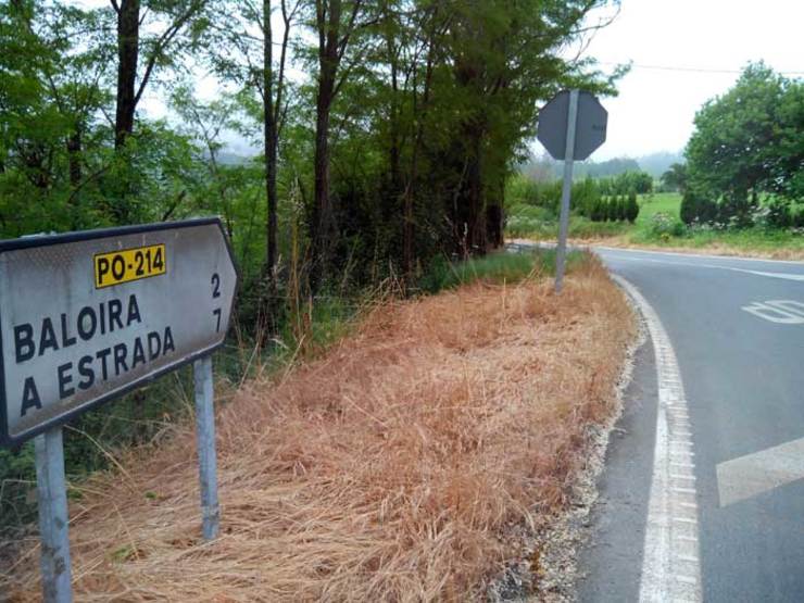 Estrada fumigada con herbicida 