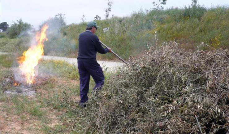 Queima de restos agrícolas