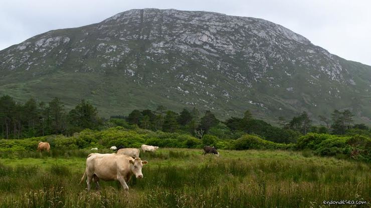 Unha das paisaxes de Connemara, en Irlanda 