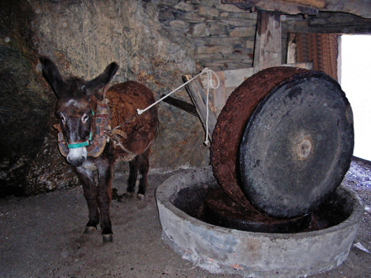 Muíño de aceite de Bendilló