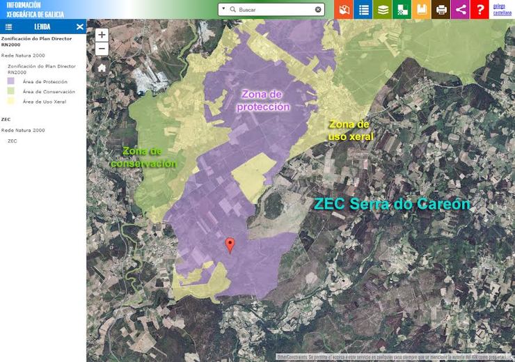 Plantación de eucaliptos na área de protección da RN2000 do Careón que pon en perigo especies endémicas galegas