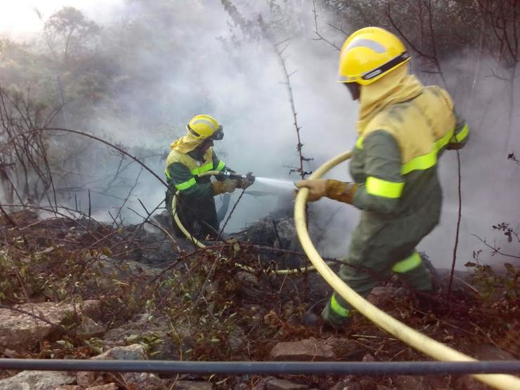 Traballadores de Atrifoga sofocando un lume 