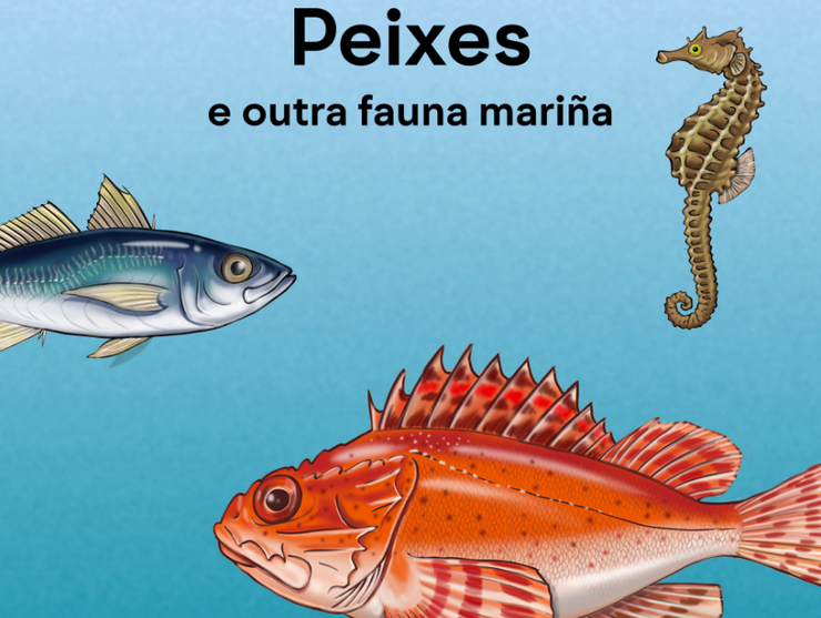 Cuberta do libro 'Os peixes e outra fauna mariña', editado pola Mesa pola Normalización Lingüística.