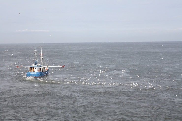 Barco pesqueiro no Atlántico Norte / USC. Barco pesqueiro no Atlántico Norte / USC. / Europa Press