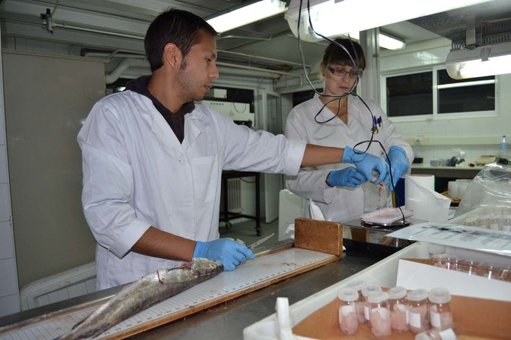 Investigadores do Laboratorio de Recursos Xenéticos Mariños da Ecimat 