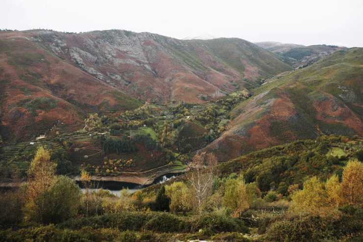 Muiños, Zona Especial de Protección de Aves (ZEPA) en Muiños, na Baixa Limia - Serra do Xurés 