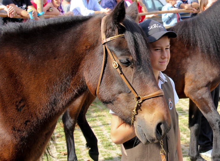 Feira cabalar de As San Lucas en Mondoñedo / assanlucas.es - Arquivo