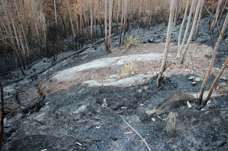 Petróglifo de Pedra do Lobo, en Villestro, Santiago, afectado por un incendio forestal 