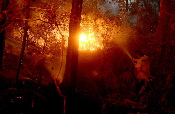 Loita contra o lume en Zamáns (Vigo), en plena onda de incendios en Galicia a mediados de outubro de 2017 