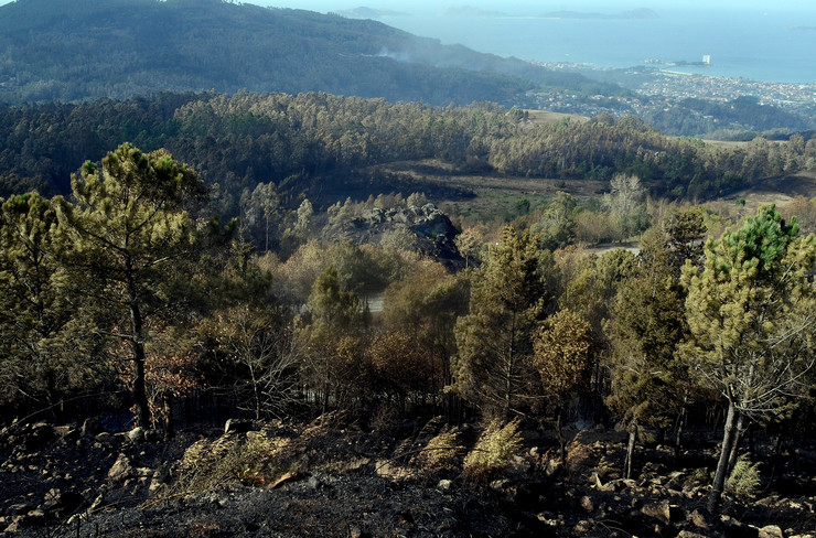 Zona do Monte dos Pozos queimada polo lume, sobre a ría de Vigo, tras os devastadores incendios que arrasaron Galicia en pleno outubro 