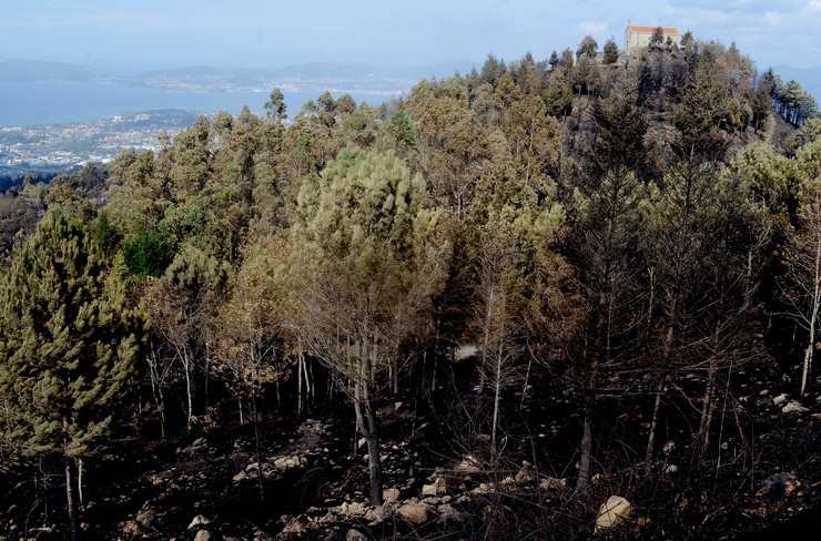 Zona do parque forestal Monte Alba en Vigo queimada polo lume, tras os devastadores incendios que arrasaron Galicia en pleno outubro 