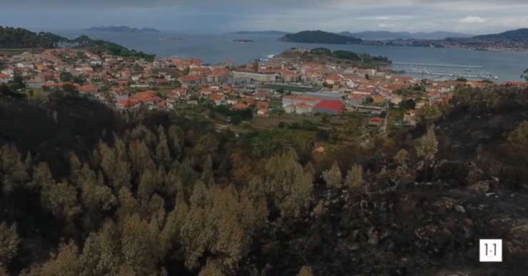 Imaxe tomada con dron dunha zona arrasada polo lume en Baiona, trala vaga de incendios que asolaron Galicia en pleno mes de outubro / 1.1 Fotografía