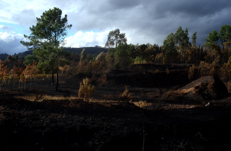 Zona queimada polos incendios que arrasaron parte do Concello das Neves durante a vaga de lumes en pleno mes de outubro de 2017 