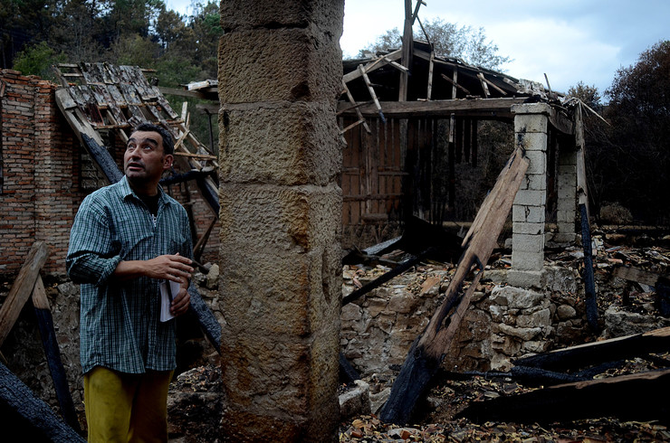 Alejandro Martínez, presidente da cooperativa do requeixón das Neves, observa os devastadores efectos do lume tras a vaga de incendios que asolou Galicia en outubro de 2017 