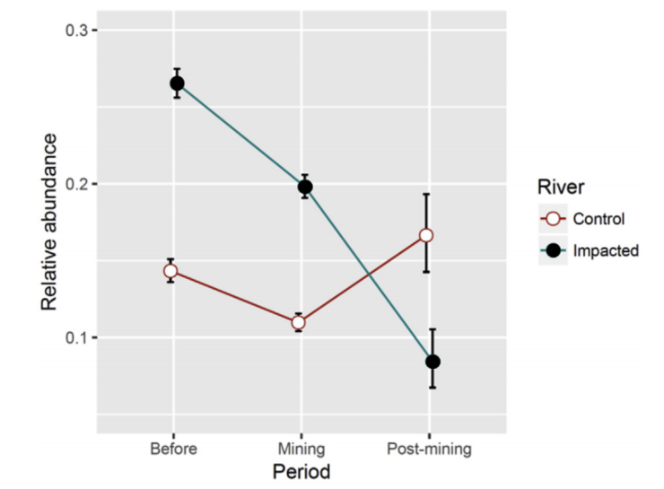 Comparación da abundancia de salmón nos ríos Miño e Ulla, este último afectado polo cobre da mina de Touro / P. Moran et al. / Environmental Pollution 234 (2018) 253 e259.