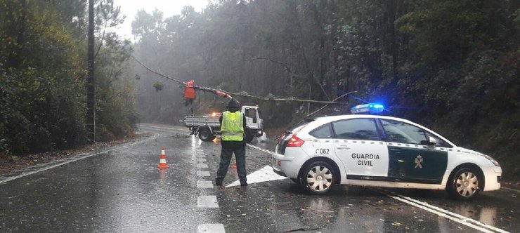 A Garda Civil ante unha árbore caída na estrada 