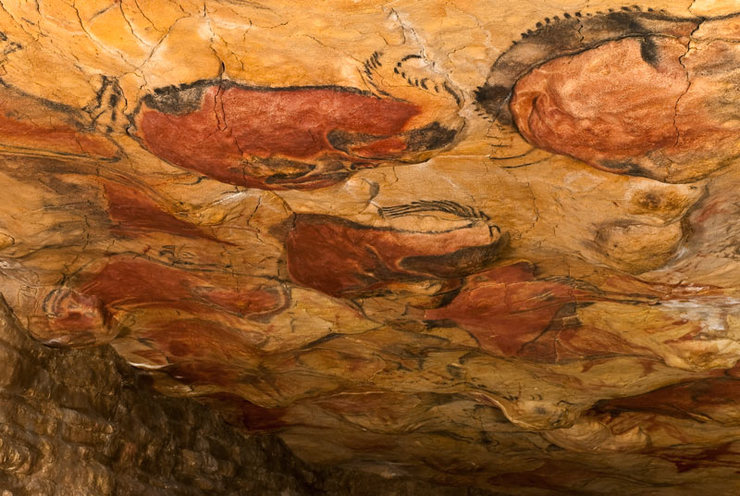 Cova de Altamira / Museo de Altamira.