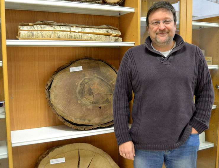 O profesor da Escola de Enxeñaría Forestal Juan Picos estuda a rendabilidade da biomasa galega 