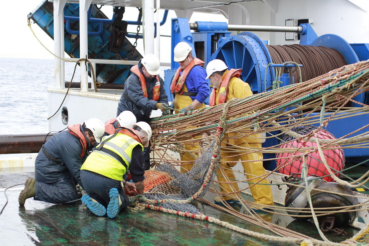 Preparativos da campaña oceanográfica SAREVA para estimar a biomasa das poboacións de sardiña, xarda e xurelo, entre outras especies 