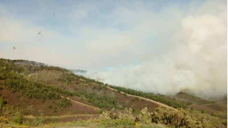 Incendio con catro focos en Cervantes 