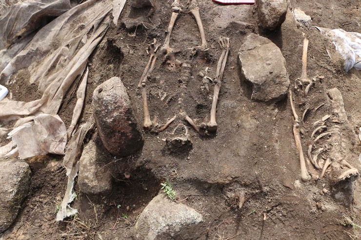Parte dos restos óseos de humanos localizados na necrópole de Adro Vello / UVigo.