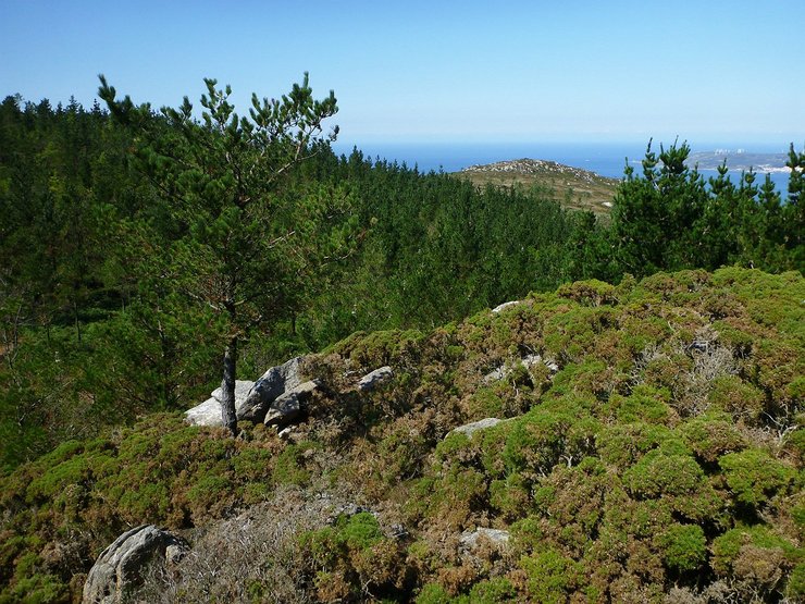 Serra do Gontón, onde Gas Natural Fenosa quere instalar un novo parque eólico en Mouriños que afectará ás poboacións de aves e morcegos / Salvemos Cabanas