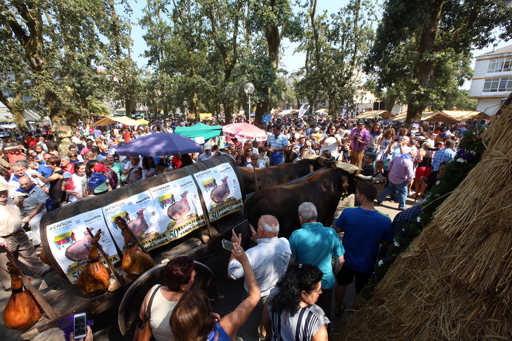 Carros tirados por bois. Fonte: Concello A Cañiza