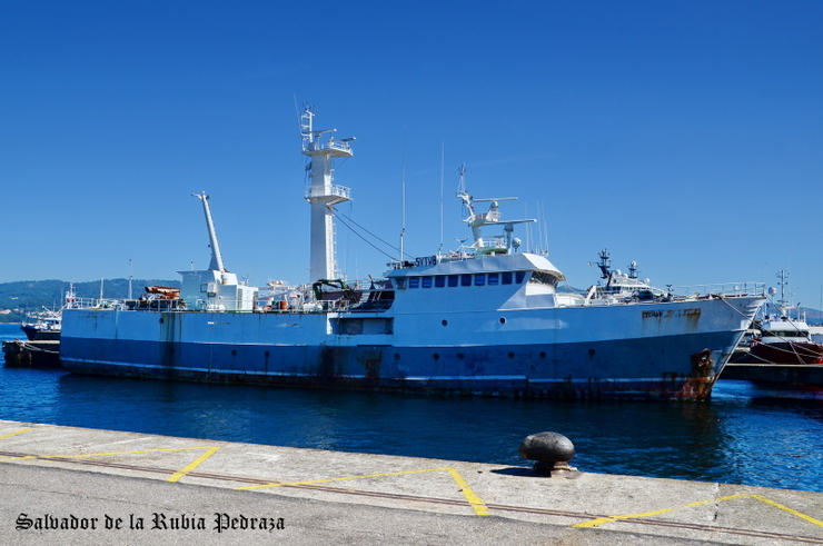 O Tchaw en Vigo en 2016 
