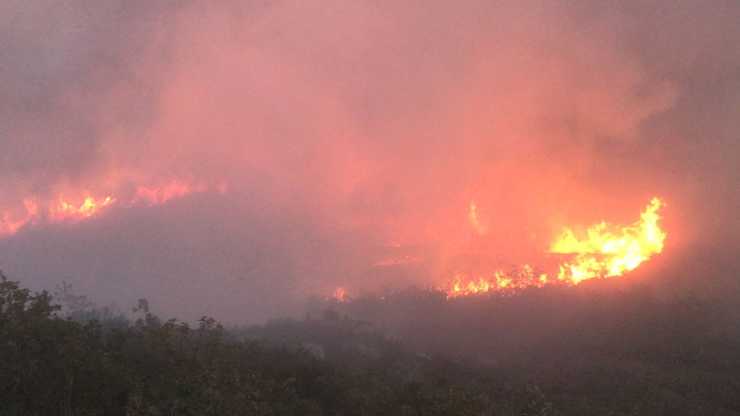 Incendio forestal no Parque Natural do Xurés 