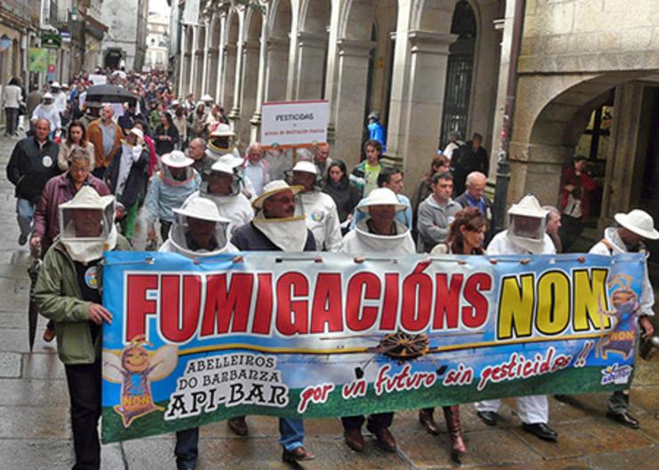 Manifestación para protexer as abellas dos pesticidas / Adega.