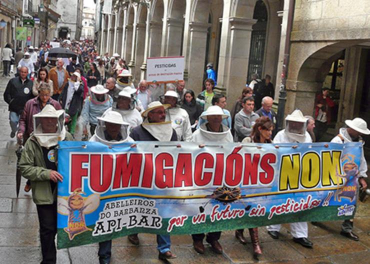 Manifestación para protexer as abellas dos pesticidas 