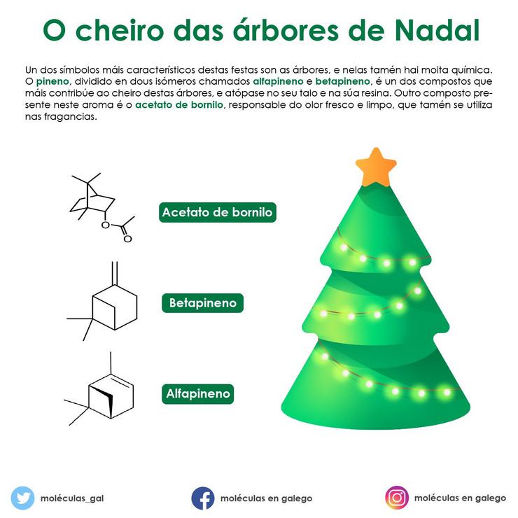 A química do cheiro das árbores de Nadal / Moléculas en Galego (@moleculas_gal en Twitter).