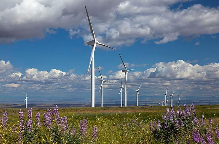 Parque eólico de Iberdrola en EEUU