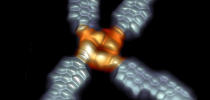 Imaxe do novo dispositivo molecular e as súas conexións a través de tiras de grafeno, obtida mediante Microscopía de Efecto Túnel (STM). 