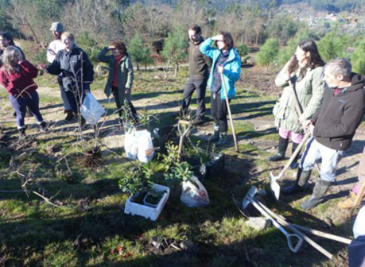 O Colectivo Rexeneración Autóctona Val reforesta con carballos, acivros ou castiñeiros o Monte Facho 