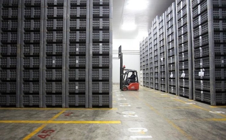 Exportacións 