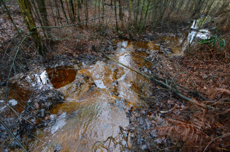 Canles fluviais da zona de Touro contaminadas.