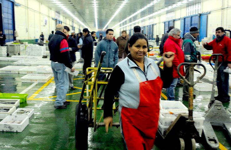 Traballadora inmigrante na lonxa de Vigo 