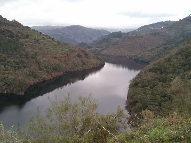 Ribeira do Miño na Míllara (Pantón). Foto: Xosé Manuel