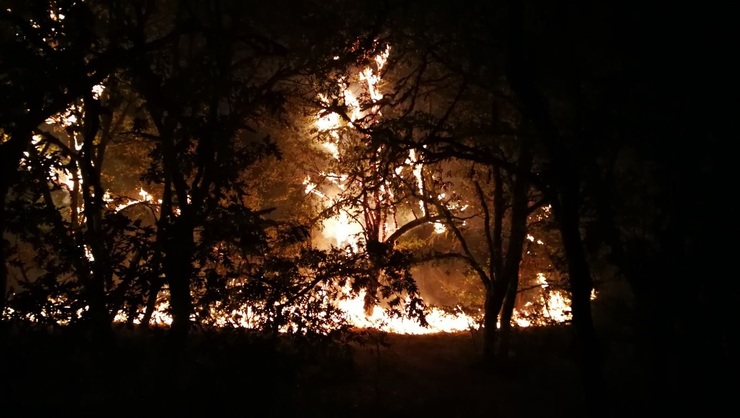 Incendio en Serra de San Madede (Ourense) / Europa Press