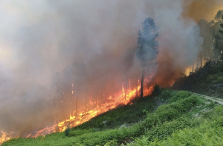 Incendio en Cenlle (Ourense‏) / @UGTForestaisGZ.